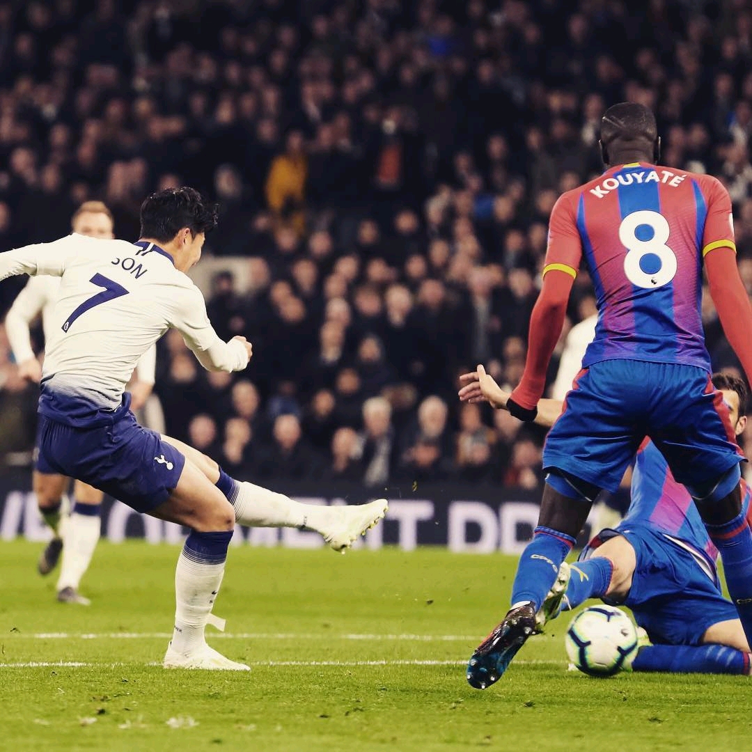 无疑属于干 无疑属于干